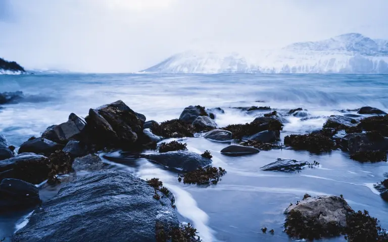 Paysage de fjord norvégien : des montagnes blanches en arrière plan sur la droite, la mer bleue au centre, des rochers bleus-gris foncés avec des algues marrons en premier plan.